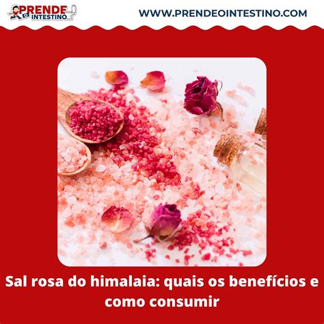 Sal Do Himalaia Beneficios E Maleficios - Beneficios Sal Rosa Do Himalaia - NAZAEDU