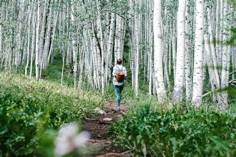 Summer in Aspen, Colorado - The Road Les Traveled