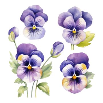 Pansy Flowers Watercolor Clipart Ai Generated Pansies Flower Pastel