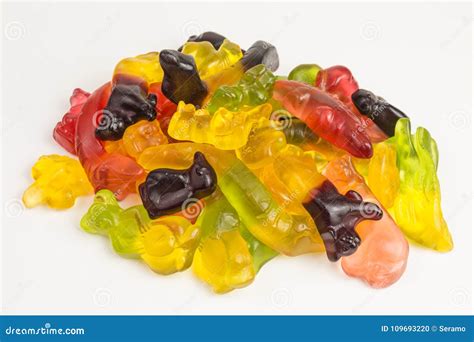 Gummy candy animals stock photo. Image of color, giraffe - 109693220