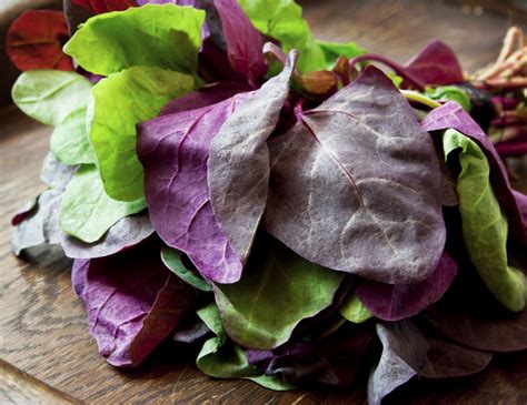 What Is Orach: Learn How To Grow Orach Plants In The Garden | Plants, Heirloom vegetables ...