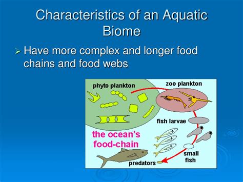 PPT - Aquatic Biomes PowerPoint Presentation - ID:528098