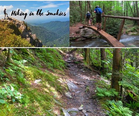 Episode 8: Hiking in the Smokies - Smokies Adventure