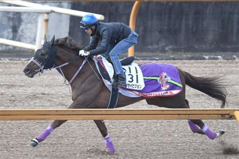 【阪急杯】タイセイビジョン 万全 3つ目のタイトルへ 幸も好感触、仕上がり申し分なし競馬・レースデイリースポーツ Online