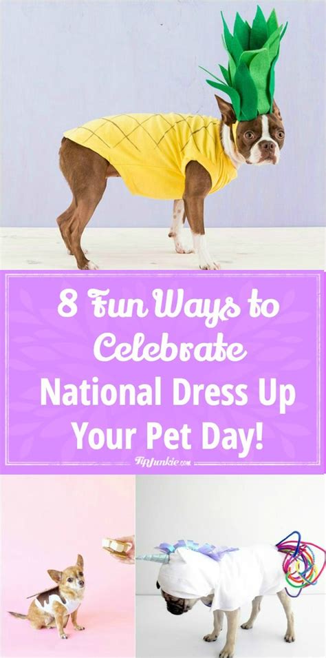 8 Fun Ways To Celebrate National Dress Up Your Pet Day