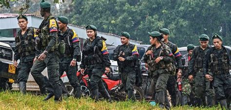 Dura Respuesta De Las Disidencias De Farc Ante Suspensión Cese Fuego