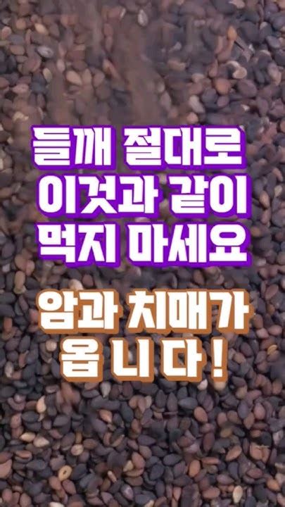 들깨 절대로 이것과 같이 먹지 마세요 암과 치매가 와요 들깨 건강 꿀팁 Youtube