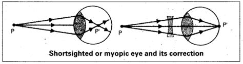 Ap Inter 2nd Year Physics Important Questions Chapter 2 Ray Optics And