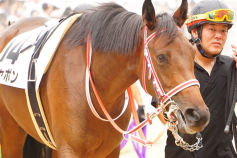 9月9日中山競馬⭐︎2歳新馬⭐︎シャボン 公式：黒澤ひかりのキラキラ日記～magic Kiss Lovers Only～