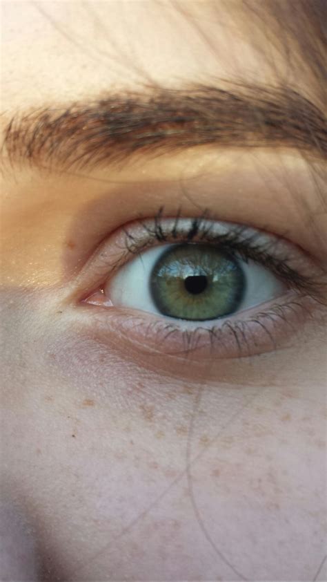 Dark Green Eyes Charming Eyes Eye Photography Human Eye Bright Eyes