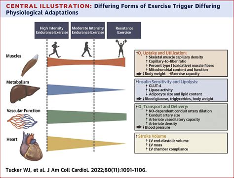 Exercise For Primary And Secondary Prevention Of Cardiovascular Disease