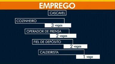 Meio Dia Paraná Cascavel Veja as vagas de emprego disponíveis para