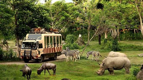 Bali Safari & Marine Park | Waisnawa Tour