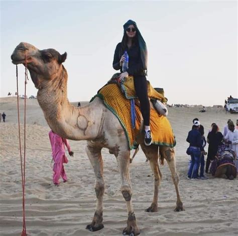 Desert Safari In Jaisalmer | Best Desert Safari tour in Jaisalmer