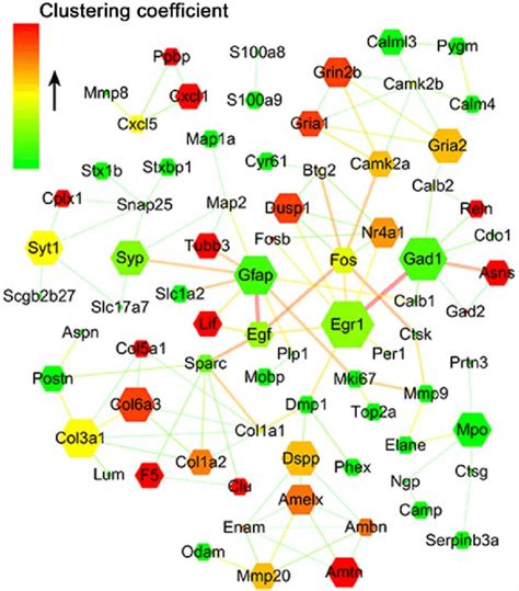 Ppi Network For Differentially Expressed Proteins The Gene Network Was