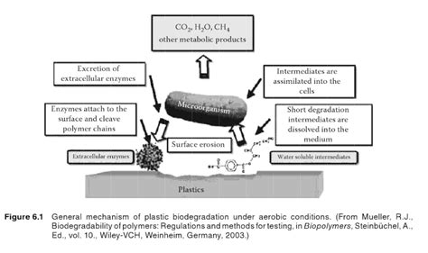 How Synthetic Polymers Biodegrade Using BioSphere Additive.