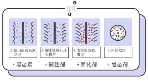 護髮 染髮原理竟然是這樣，記住染髮後要這樣護理 每日頭條