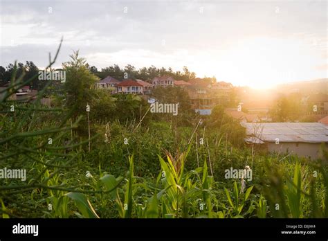 Rwanda Kigali There Is Lots Of Nature In The Capital Green Rolling