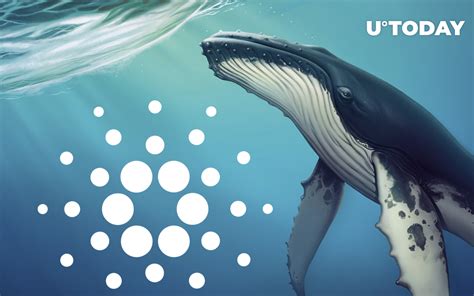 Cardano Whale Transaction Volume Soars ADA Price Direction Change