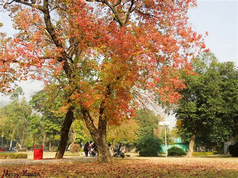 Colors Of Autumn In Islamabad Shiraz Hassan Flickr