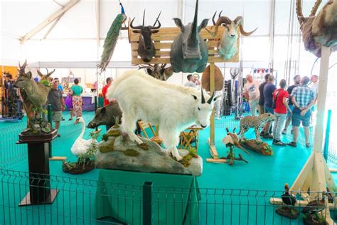 Feira de Caça Pesca Turismo e Natureza regressa à Marina de Albufeira