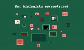 Det Kognitiva Perspektivet By Fanny Broo On Prezi