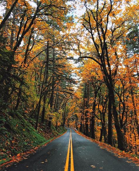 Autumn In Portland Oregon See This Instagram Photo By