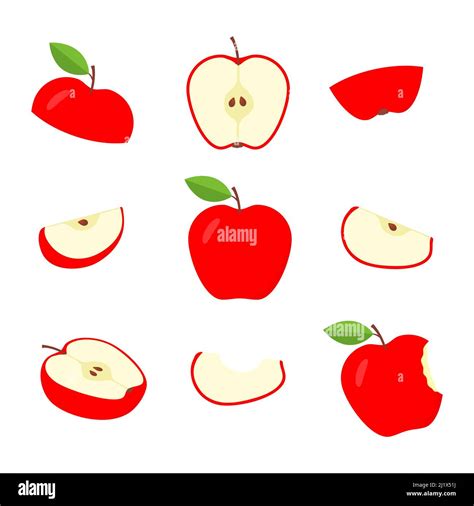 Red Apples Set Apple Slices Collection Vector Isolated On White Stock