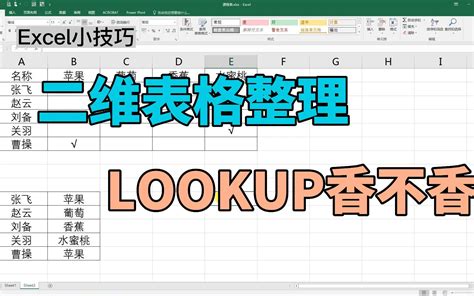 Excel函数教程，二维表格整理，lookup函数就搞定，还有这用法？ 我的excel小技巧 我的excel小技巧 哔哩哔哩视频