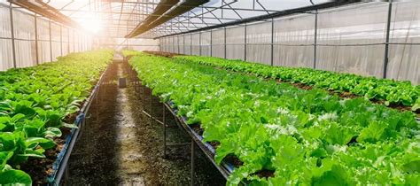 Ecological Farming Les Vergers De Rioz