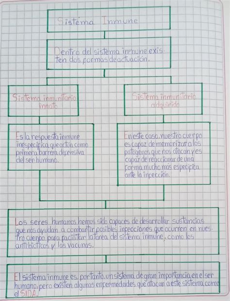 Me Ayudan A Realizar Un Mapa Conceptual Del Sistema Inmune Con Todo Lo 160230 Hot Sex Picture