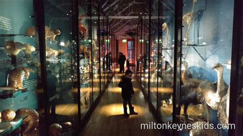 Visit the Natural History Museum in Tring for free - Milton Keynes Kids