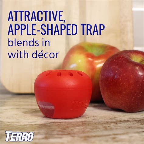 Terro Fruit Fly Indoor Insect Trap 2 Pack T2502 At