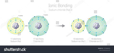 Ionic bonding Sodium Chloride NaCl / Chemistry - Royalty Free Stock Vector 1707846925 - Avopix.com