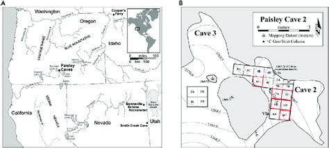 Sampling location of Paisley Caves (A) location of Paisley Caves in the... | Download Scientific ...