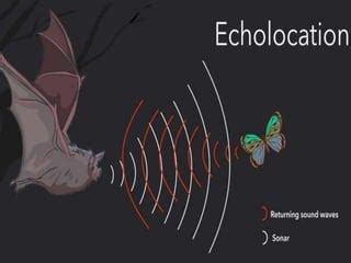 ultrasonic waves.pptx