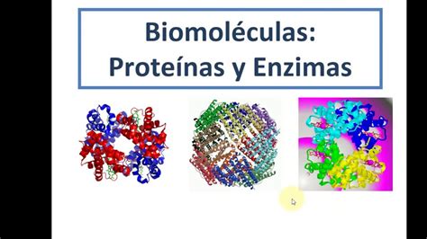 Proteínas y enzimas YouTube