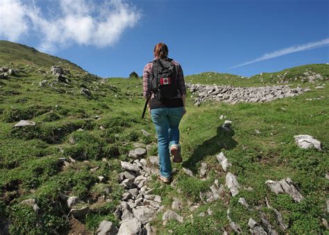 Americans are ‘flag jacking’ to pretend they’re…