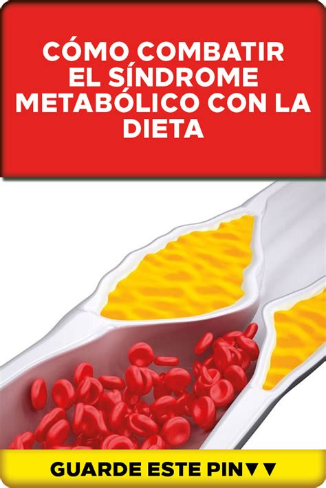 Dieta Correcta Para El Sindrome Metabolico