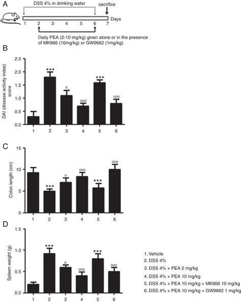 Palmitoylethanolamide Improves Colon Inflammation Through An Enteric