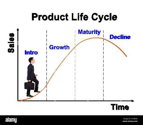 Business Life Cycle Chart: A Visual Reference of Charts | Chart Master