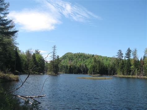 Adirondack Timber Cruising Weller Pond Hidden Gem