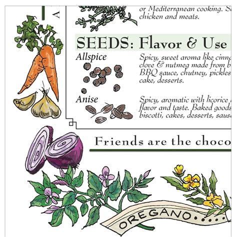 11x17 Laminated Cooking Herbs Chart - Etsy