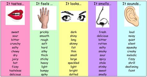 What Are Words That Describe Smell