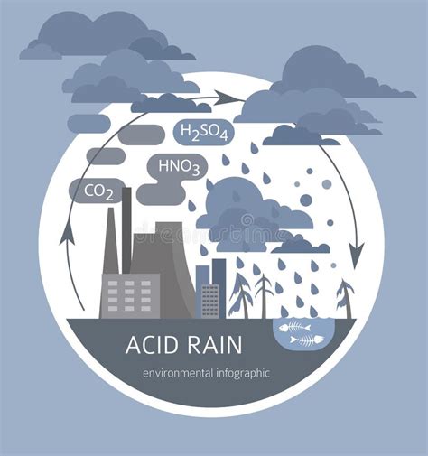 Problemas Ambientales Mundiales Infograf A De Lluvia Cida Ilustraci N