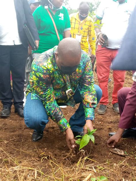 RDC Campagne Jardins Scolaires pour 1 milliard darbre à lhorizon