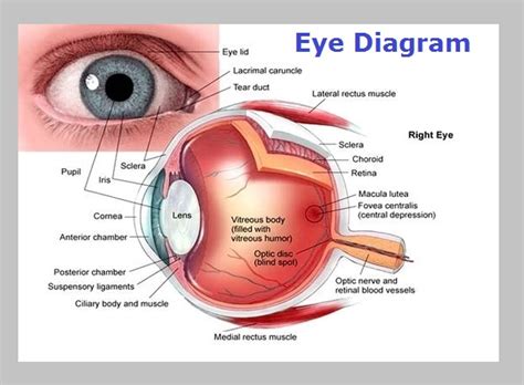 Eye Diagram - Graph Diagram