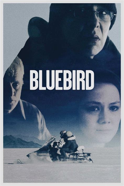 Bluebird (2014) - Posters — The Movie Database (TMDB)