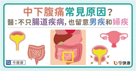 中下腹痛常見原因？醫：不只腸道疾病，也留意男疾和婦疾。 蕃新聞