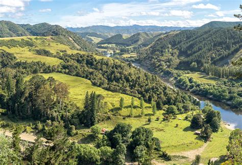 Whanganui, NZ - History and River action | Tourism New Zealand